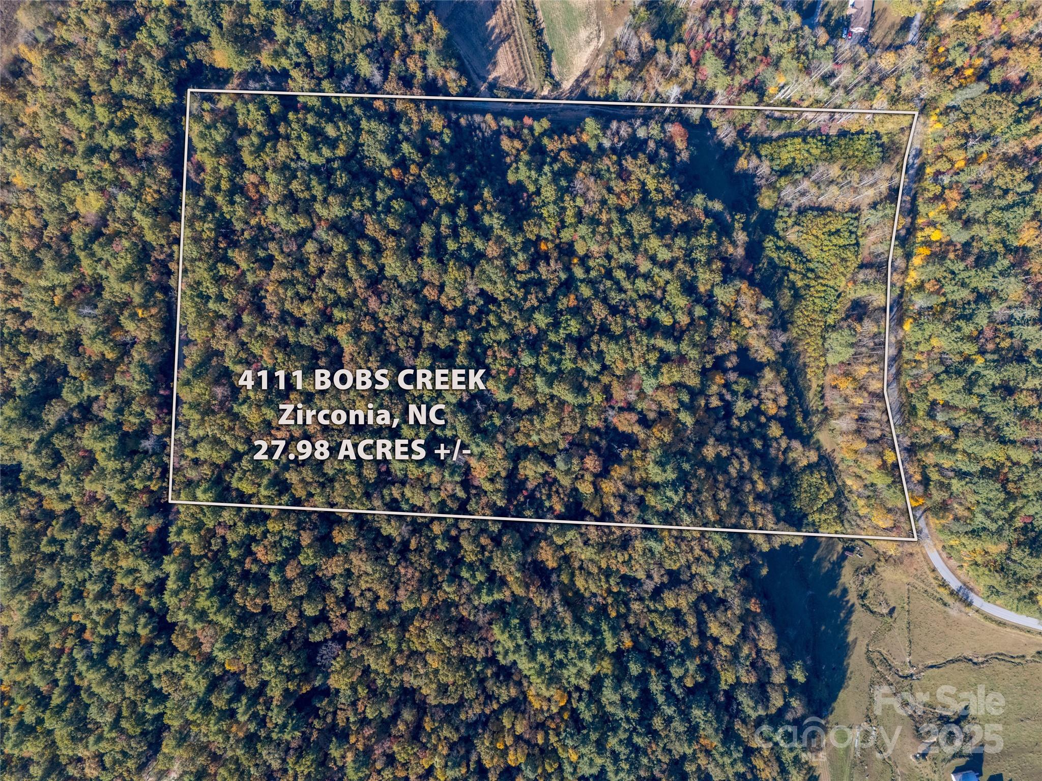 4111 Bobs Creek Road Zirconia NC 28790