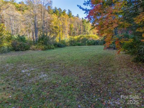 4111 Bobs Creek Road Zirconia NC 28790