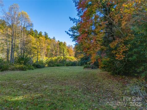 4111 Bobs Creek Road Zirconia NC 28790