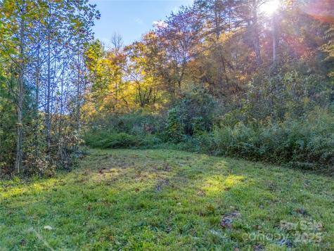 4111 Bobs Creek Road Zirconia NC 28790