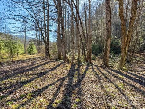 4111 Bobs Creek Road Zirconia NC 28790