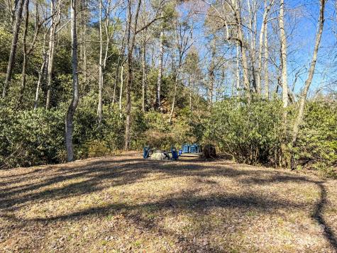 4111 Bobs Creek Road Zirconia NC 28790