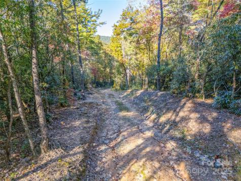 4111 Bobs Creek Road Zirconia NC 28790