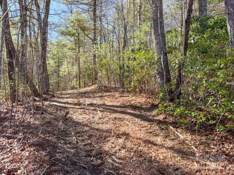 4111 Bobs Creek Road Zirconia NC 28790