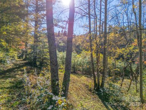 4111 Bobs Creek Road Zirconia NC 28790