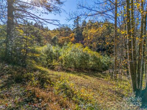 4111 Bobs Creek Road Zirconia NC 28790