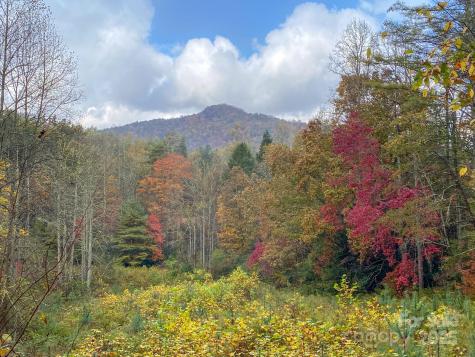 4111 Bobs Creek Road Zirconia NC 28790