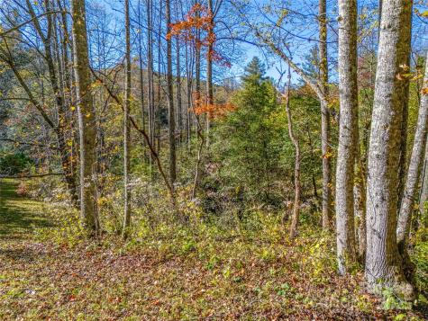 4111 Bobs Creek Road Zirconia NC 28790