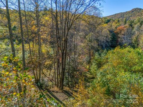 4111 Bobs Creek Road Zirconia NC 28790