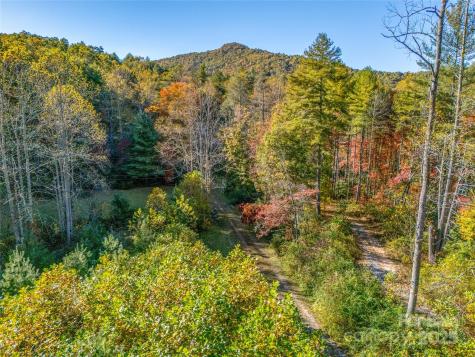 4111 Bobs Creek Road Zirconia NC 28790