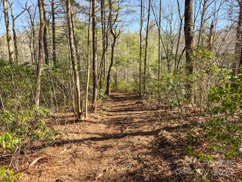 4111 Bobs Creek Road Zirconia NC 28790