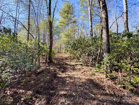 4111 Bobs Creek Road Zirconia NC 28790