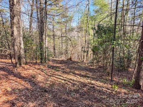 4111 Bobs Creek Road Zirconia NC 28790