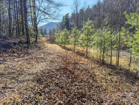 4111 Bobs Creek Road Zirconia NC 28790