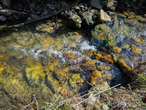 4111 Bobs Creek Road Zirconia NC 28790