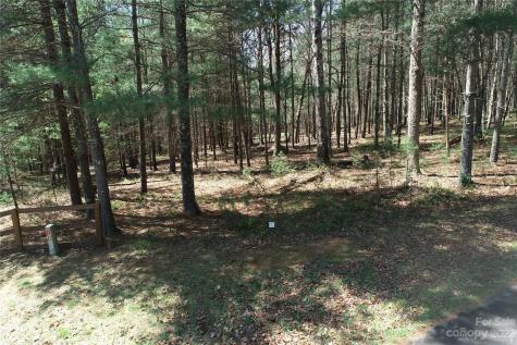 1301 Scenic Vista Drive Nebo NC 28761