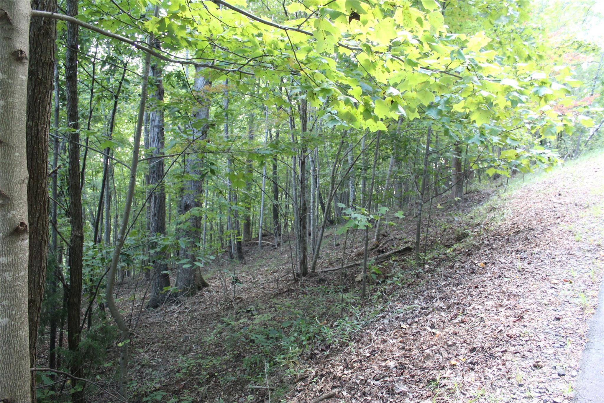 0 Azule Ridge Drive Bostic NC 28018