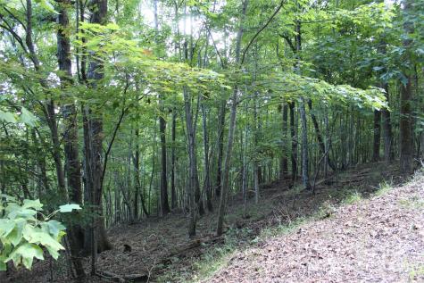0 Azule Ridge Drive Bostic NC 28018