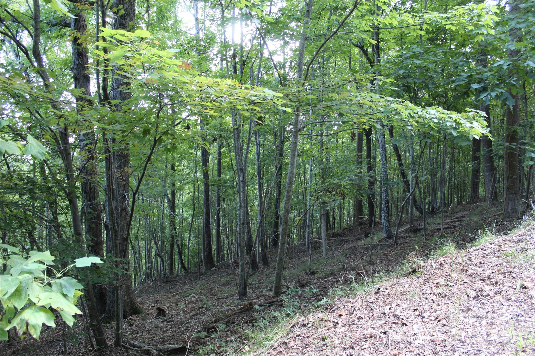 0 Azule Ridge Drive Bostic NC 28018