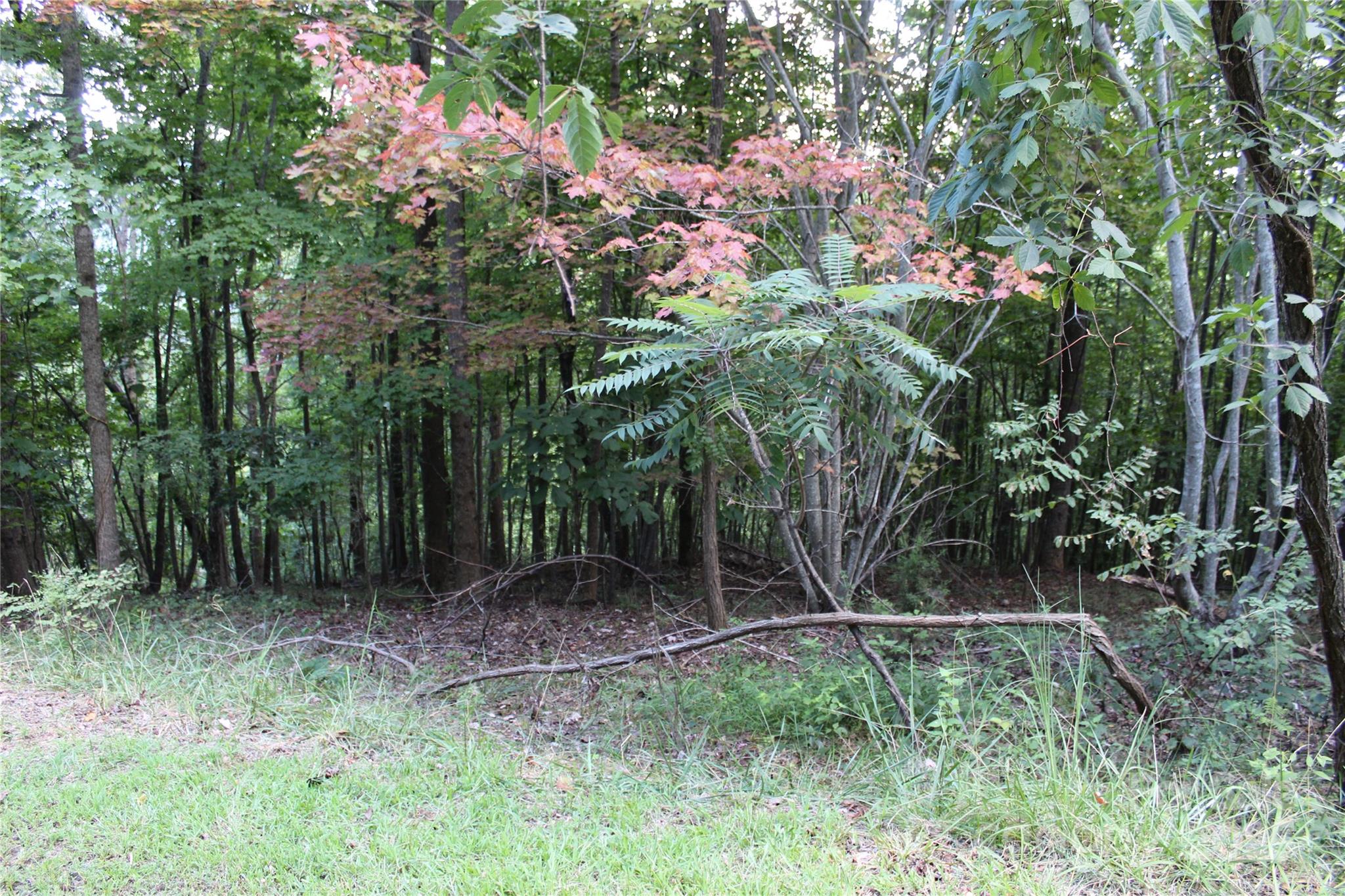 0 Azule Ridge Drive Bostic NC 28018