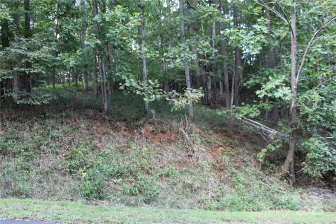 0 Azule Ridge Drive Bostic NC 28018