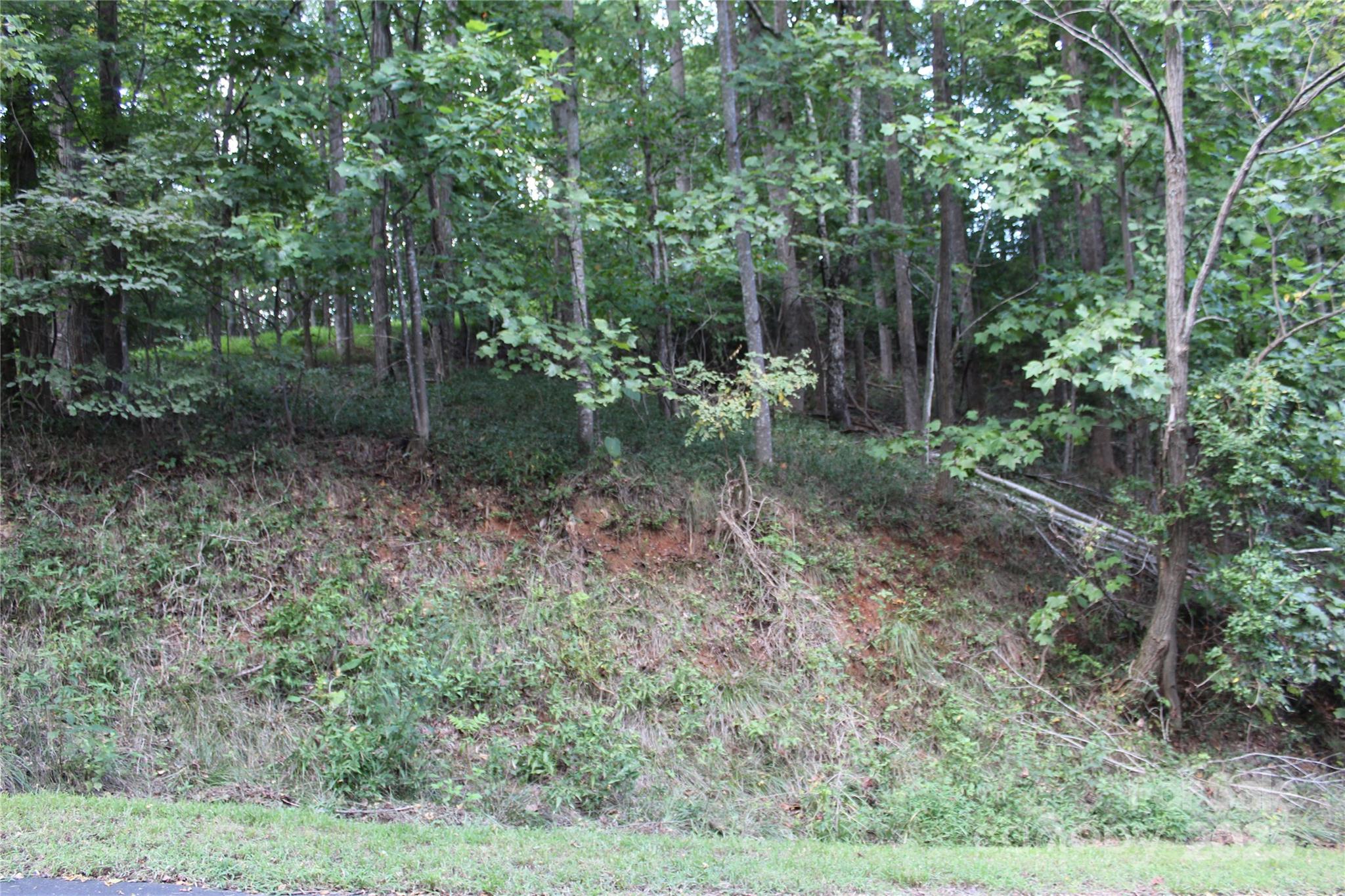 0 Azule Ridge Drive Bostic NC 28018