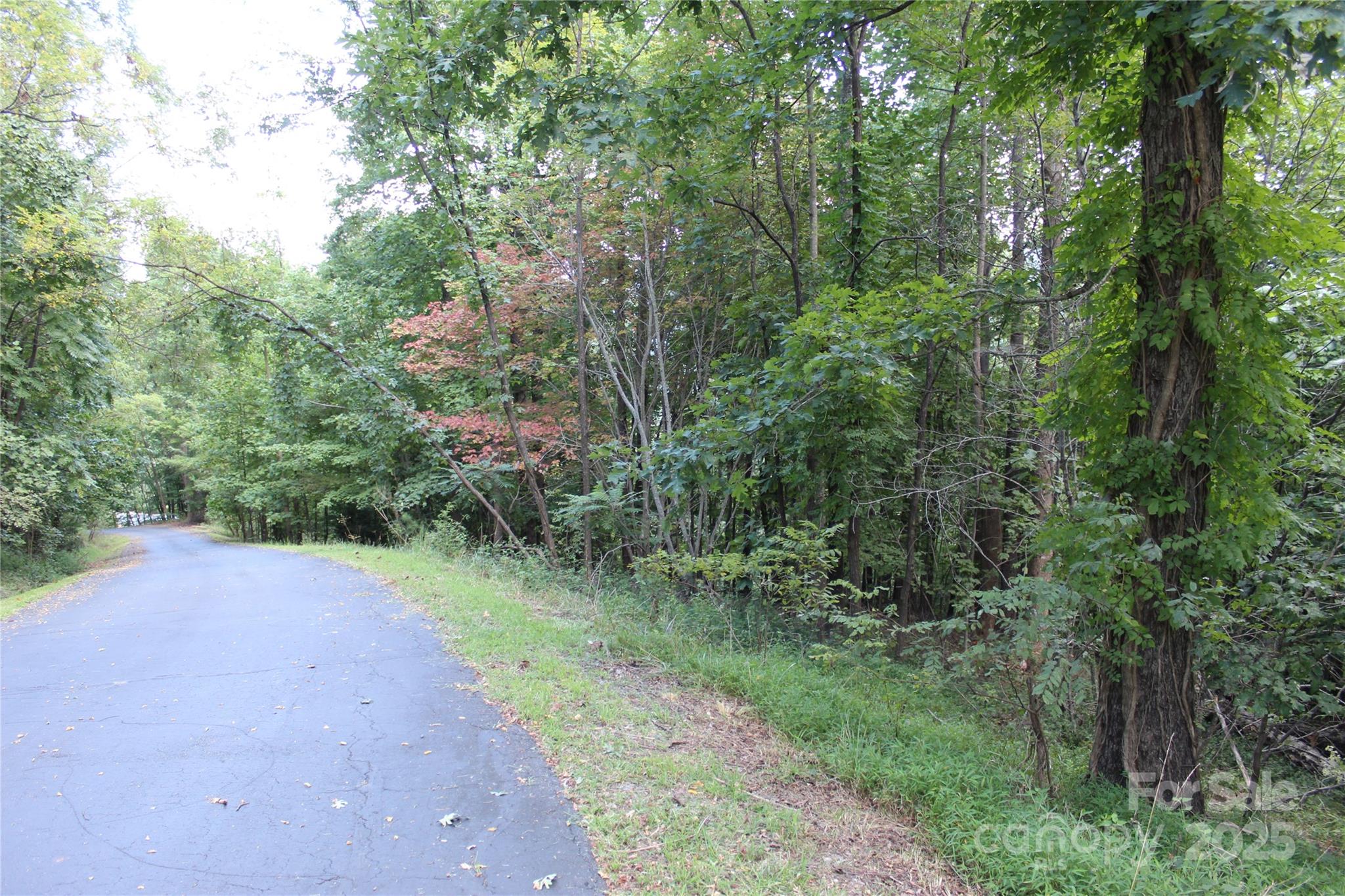 0 Azule Ridge Drive Bostic NC 28018