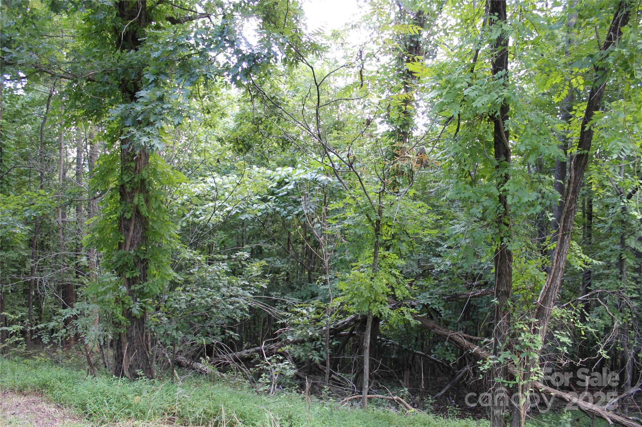 0 Azule Ridge Drive Bostic NC 28018