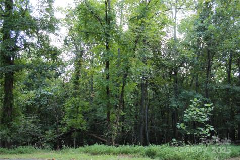 0 Azule Ridge Drive Bostic NC 28018