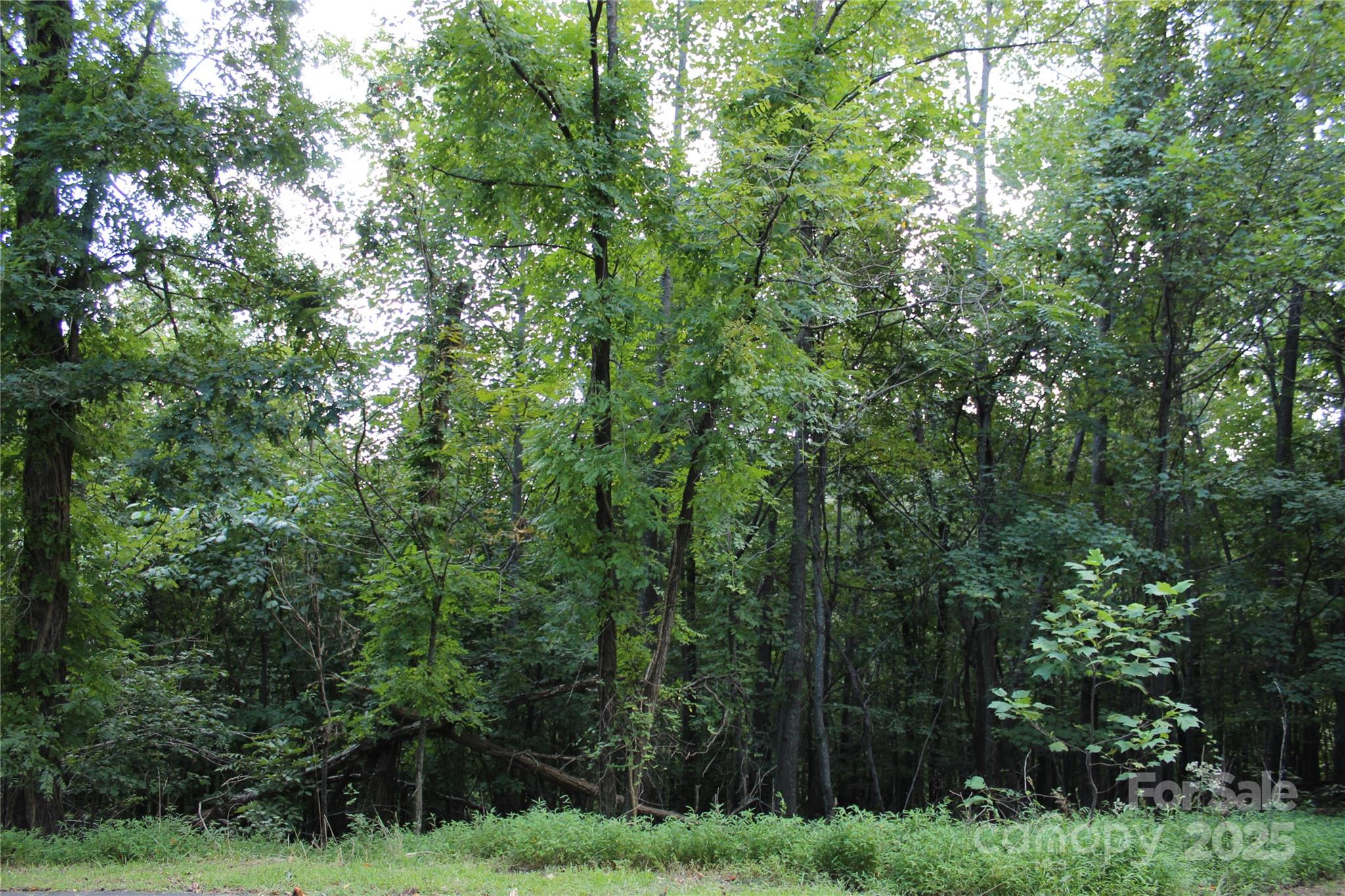 0 Azule Ridge Drive Bostic NC 28018