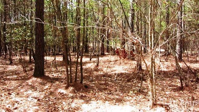 1358 Cordova Drive Connelly Springs NC 28612