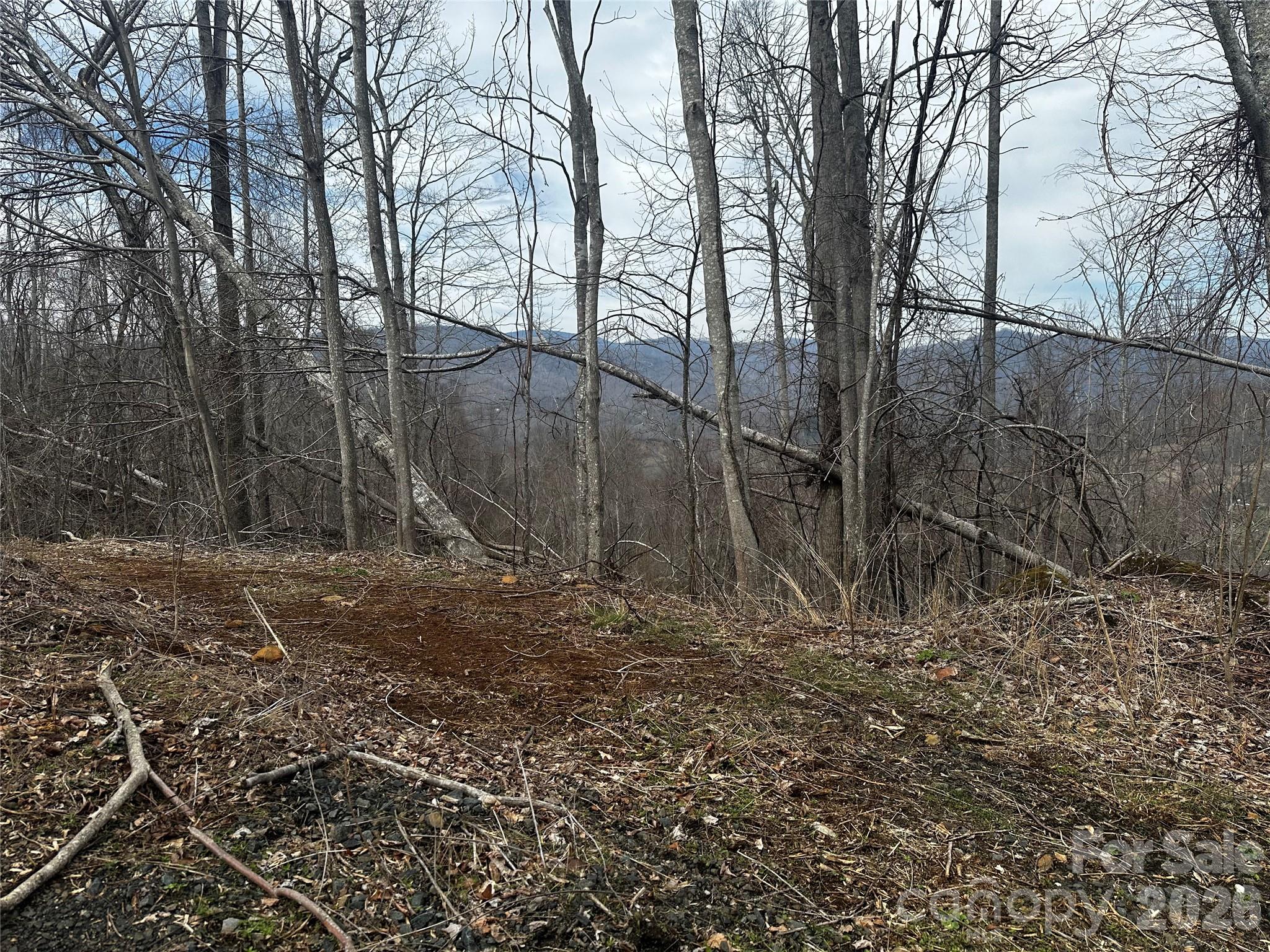 00 Bear Ridge Road Bakersville NC 28705