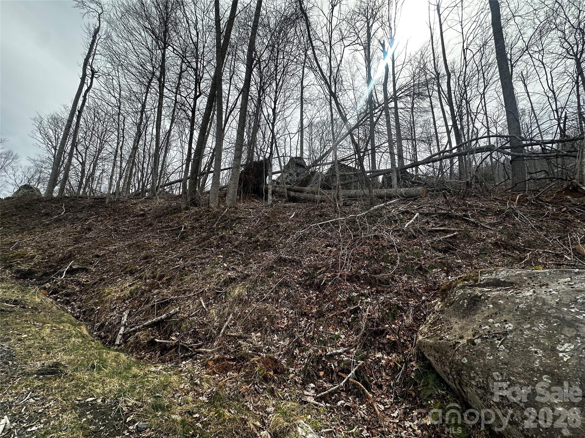 00 Bear Ridge Road Bakersville NC 28705