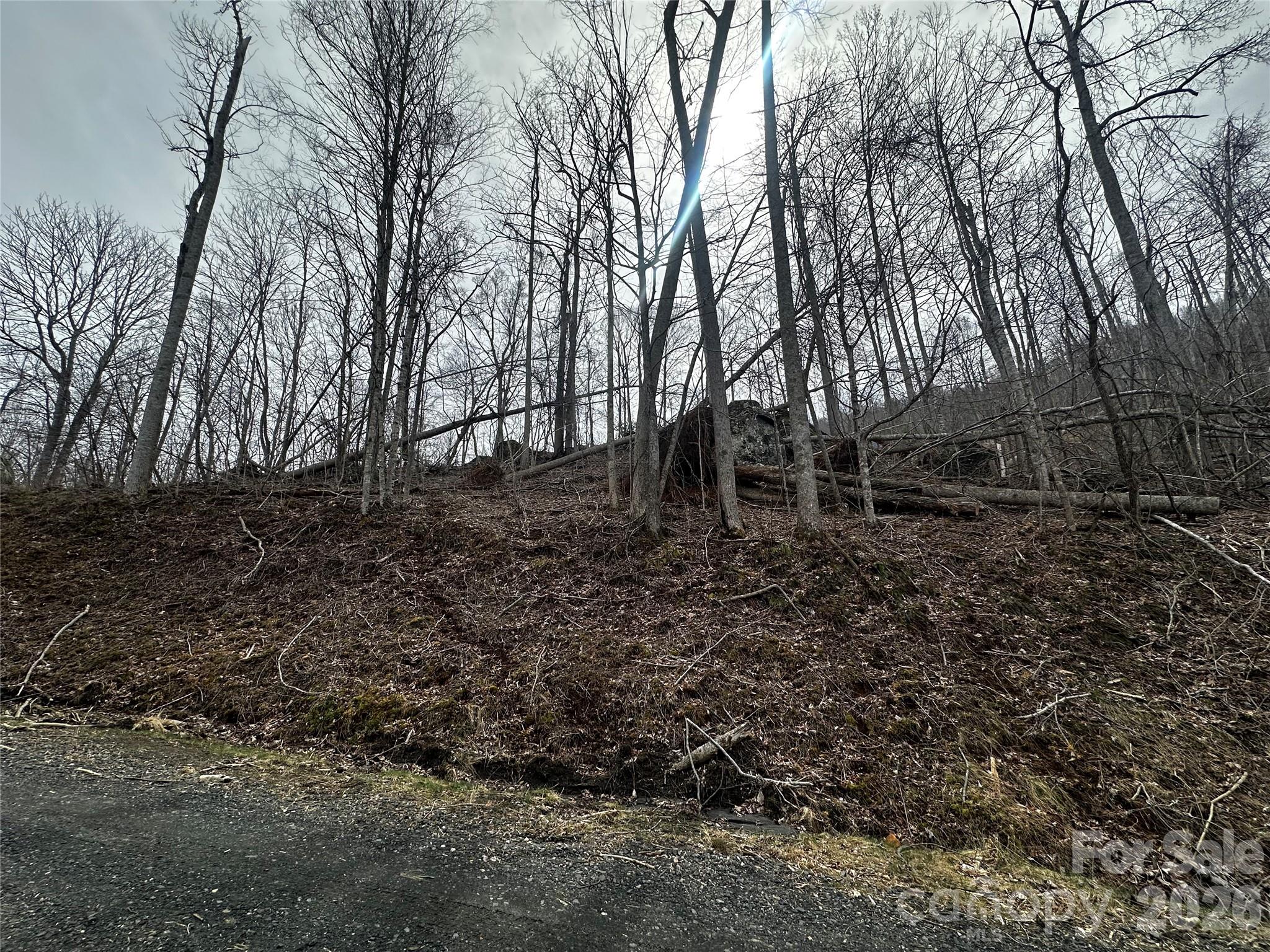 00 Bear Ridge Road Bakersville NC 28705