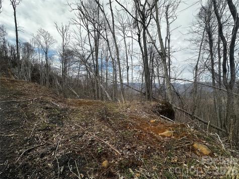 00 Bear Ridge Road Bakersville NC 28705