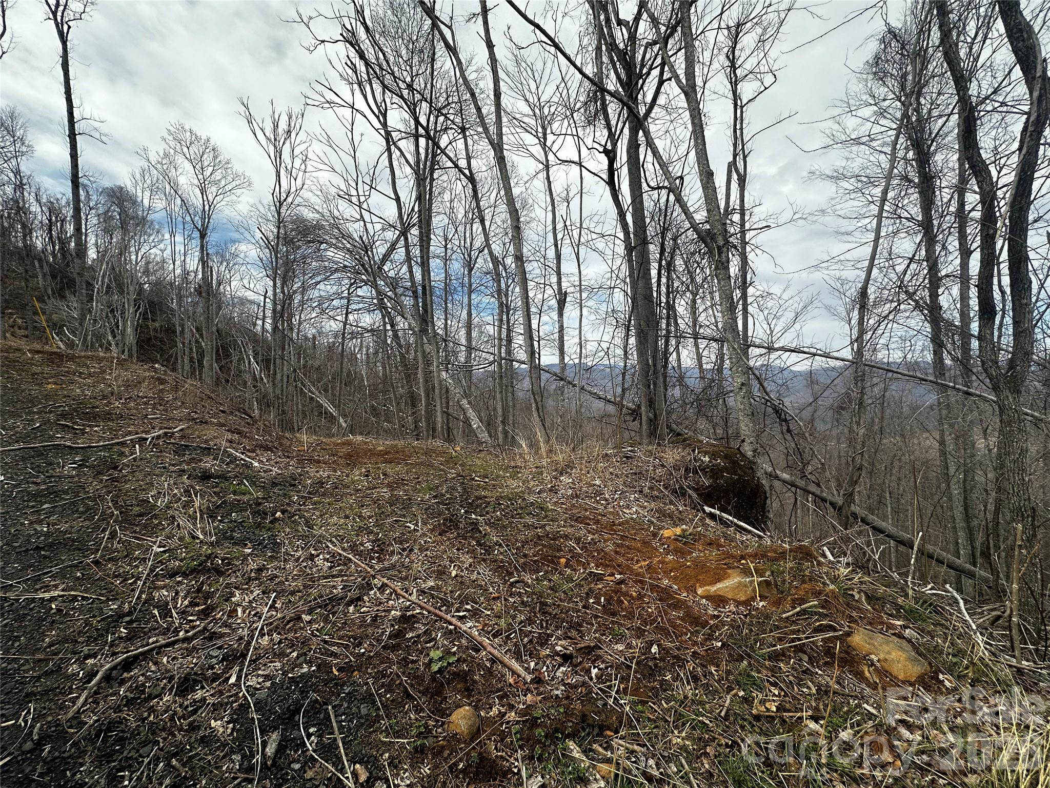 00 Bear Ridge Road Bakersville NC 28705