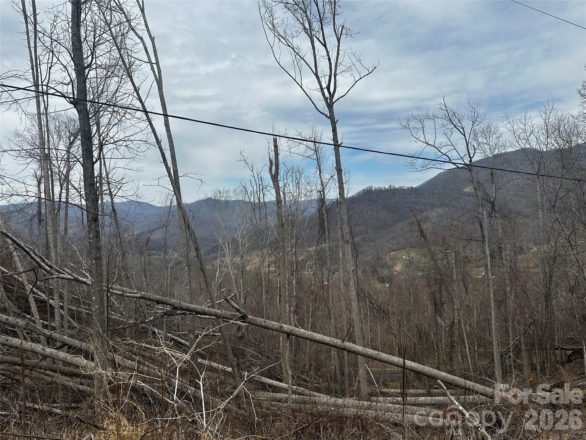 00 Bear Ridge Road Bakersville NC 28705