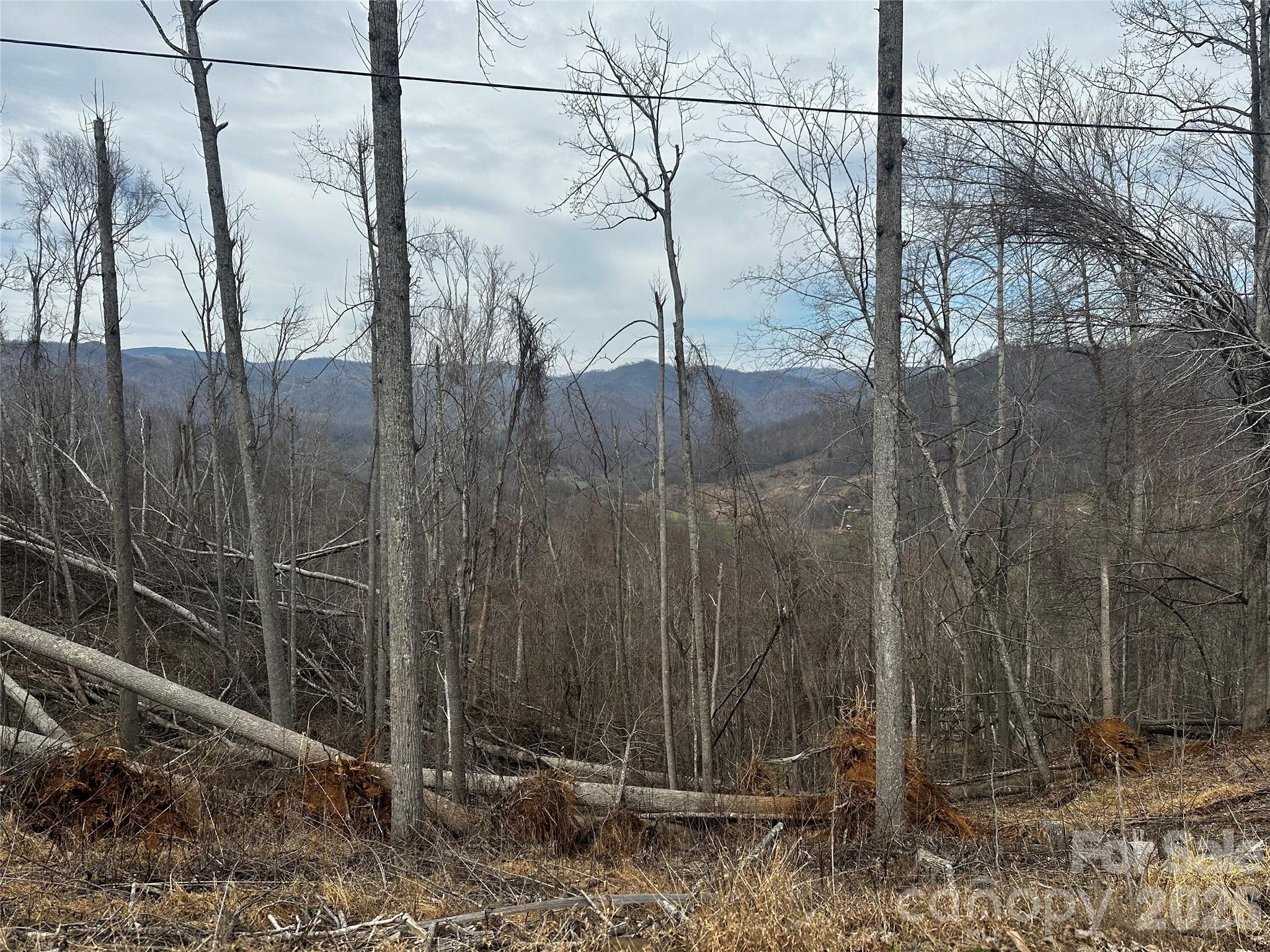 00 Bear Ridge Road Bakersville NC 28705