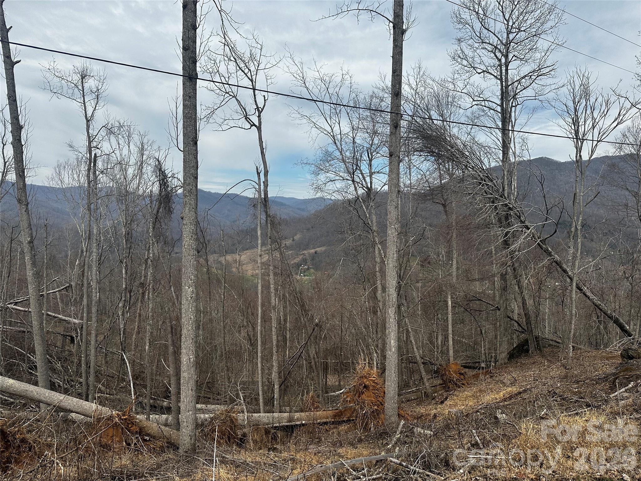 00 Bear Ridge Road Bakersville NC 28705