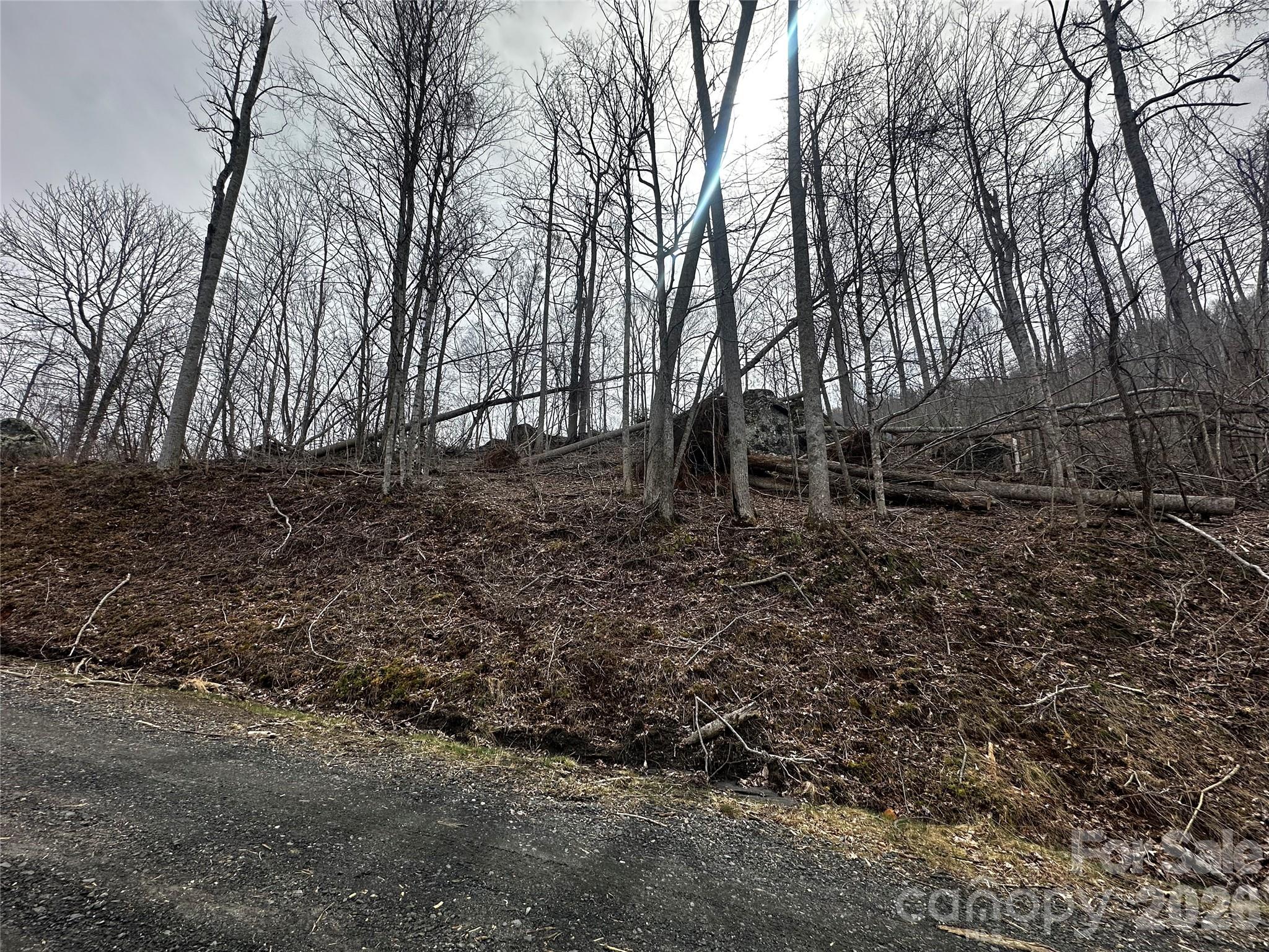 00 Bear Ridge Road Bakersville NC 28705