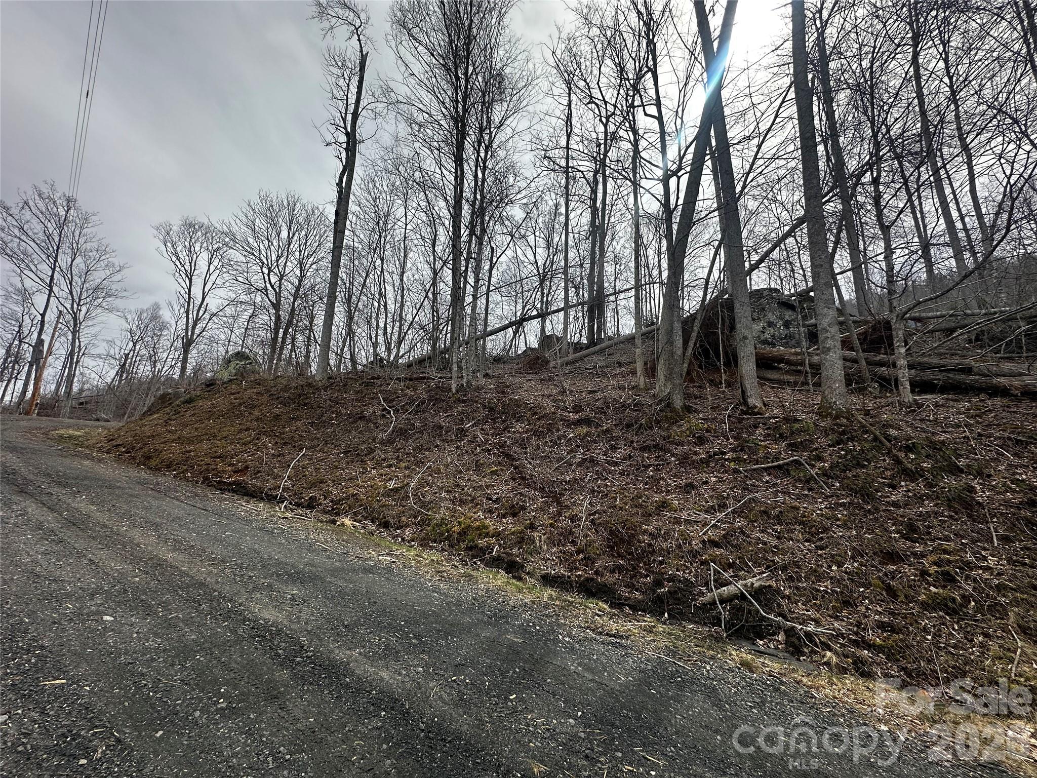 00 Bear Ridge Road Bakersville NC 28705