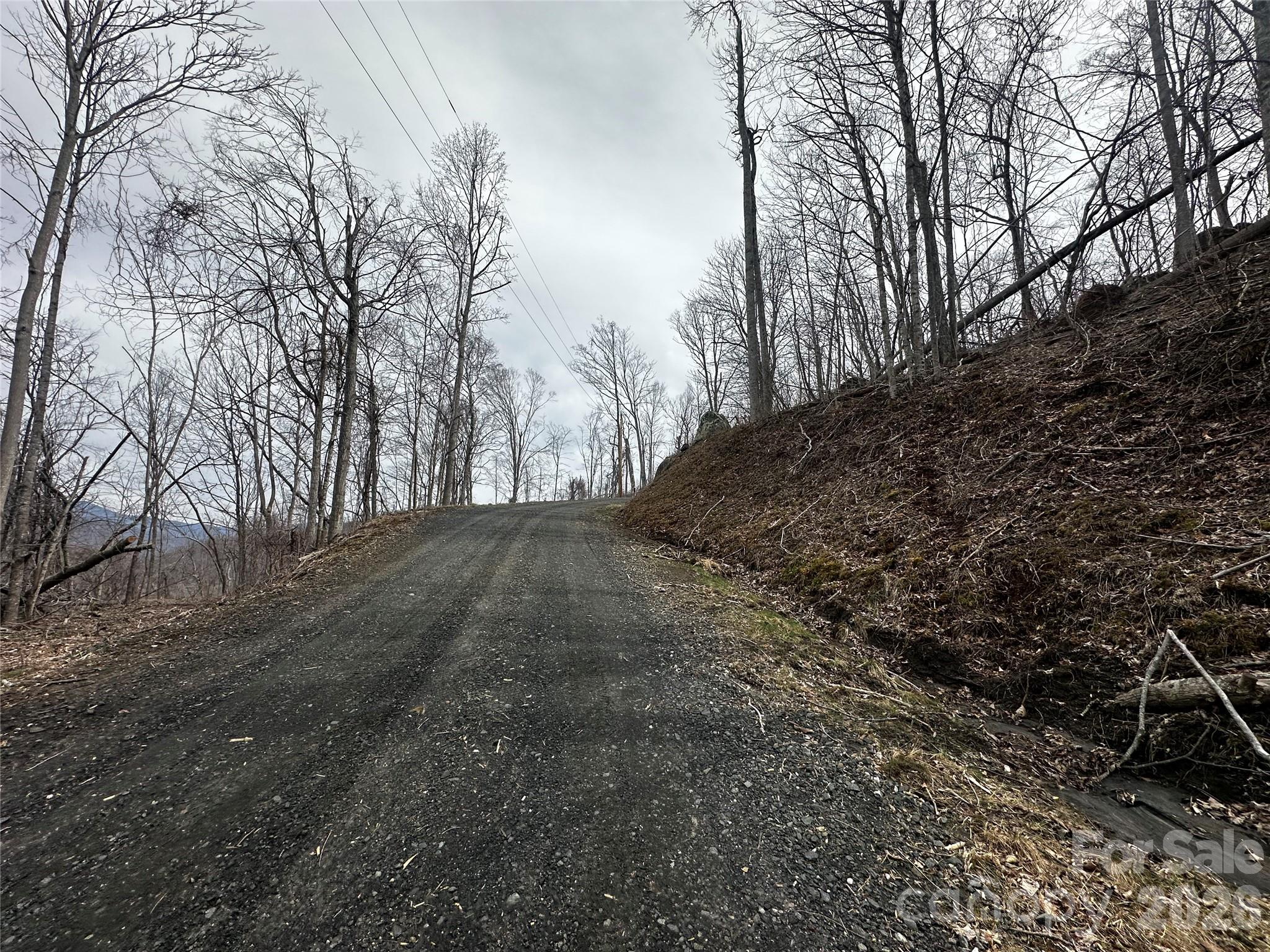 00 Bear Ridge Road Bakersville NC 28705
