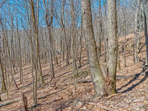 00 Tearshirt Lane Mars Hill NC 28754