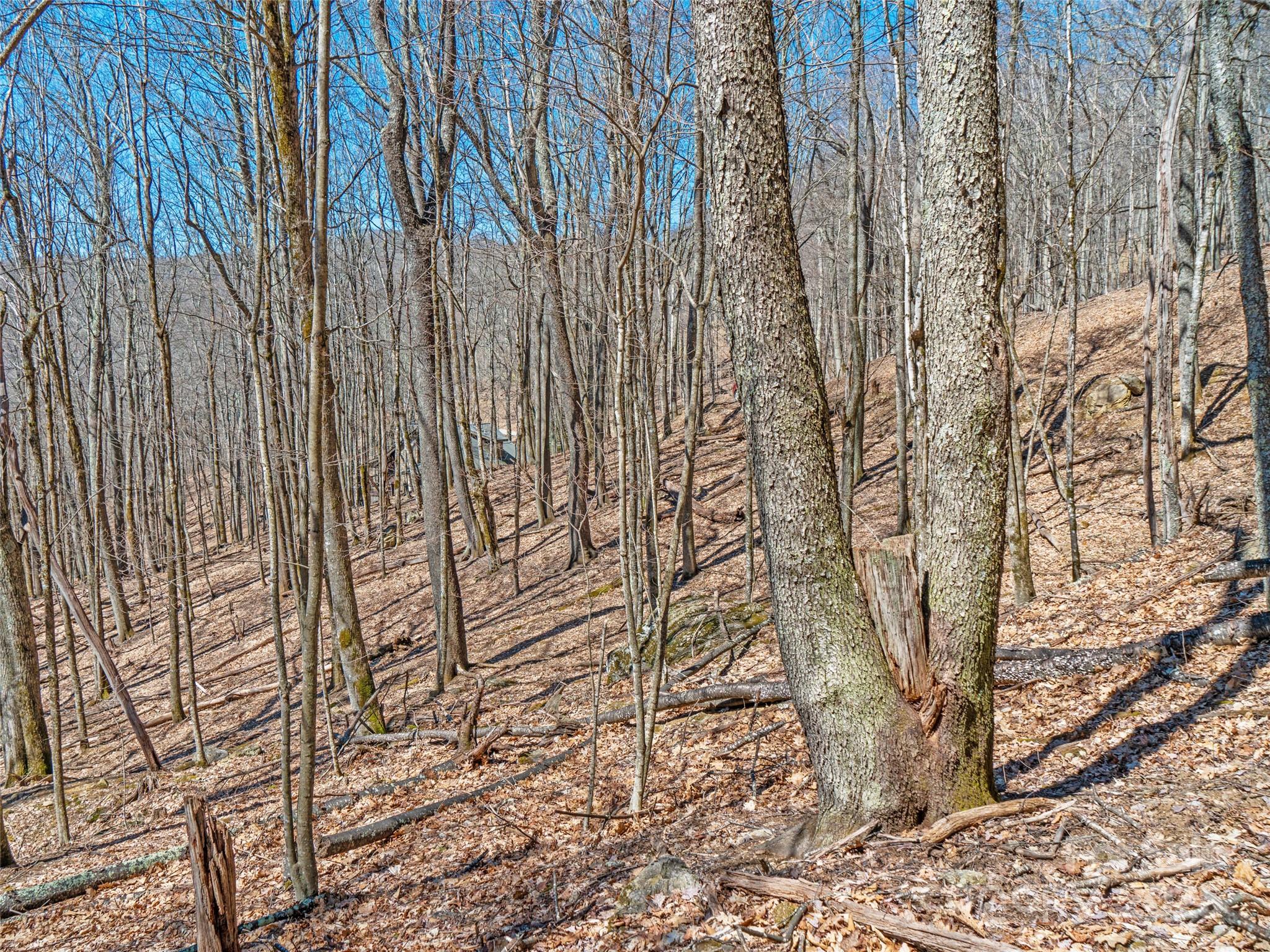 00 Tearshirt Lane Mars Hill NC 28754