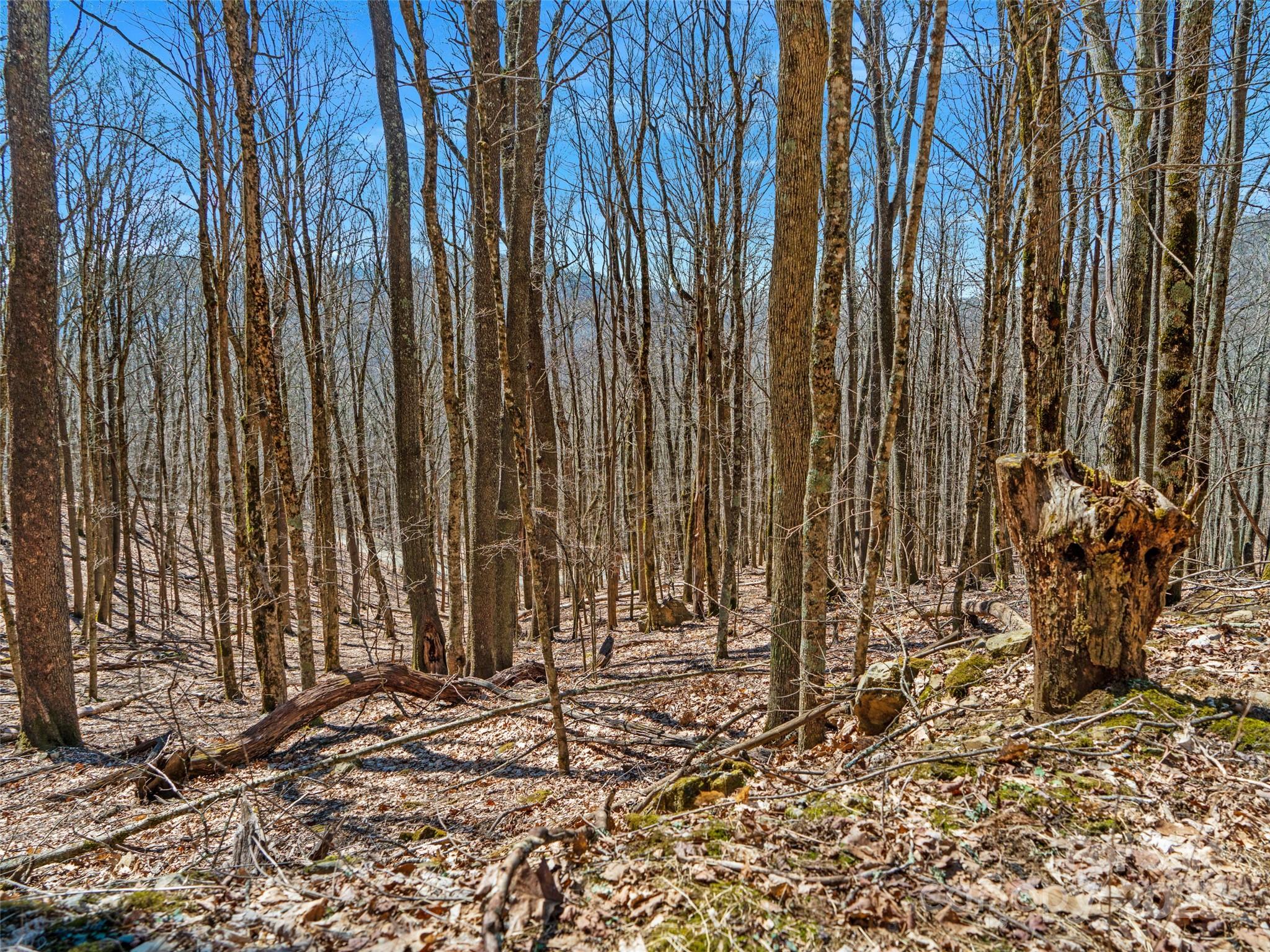00 Tearshirt Lane Mars Hill NC 28754