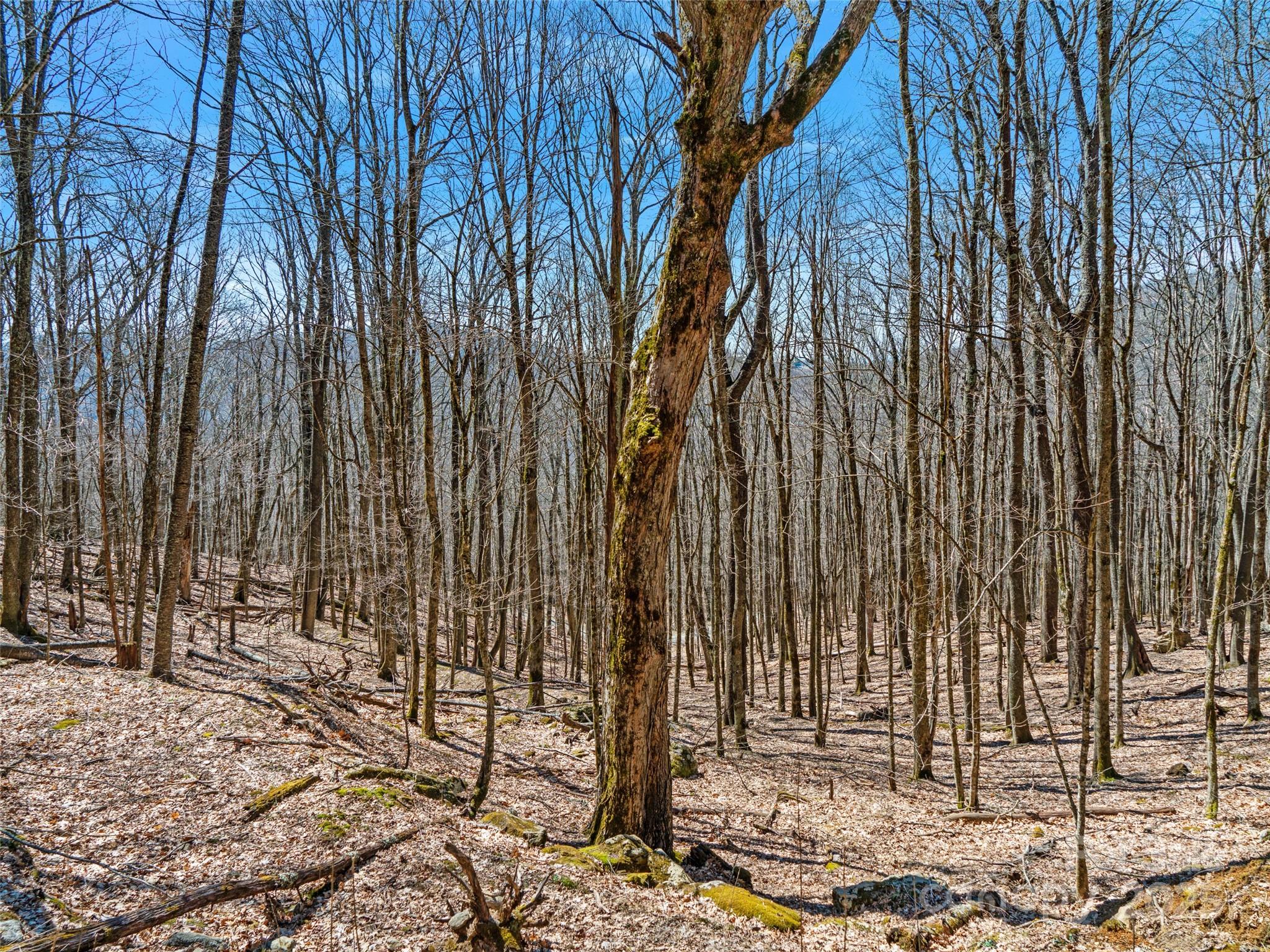 00 Tearshirt Lane Mars Hill NC 28754