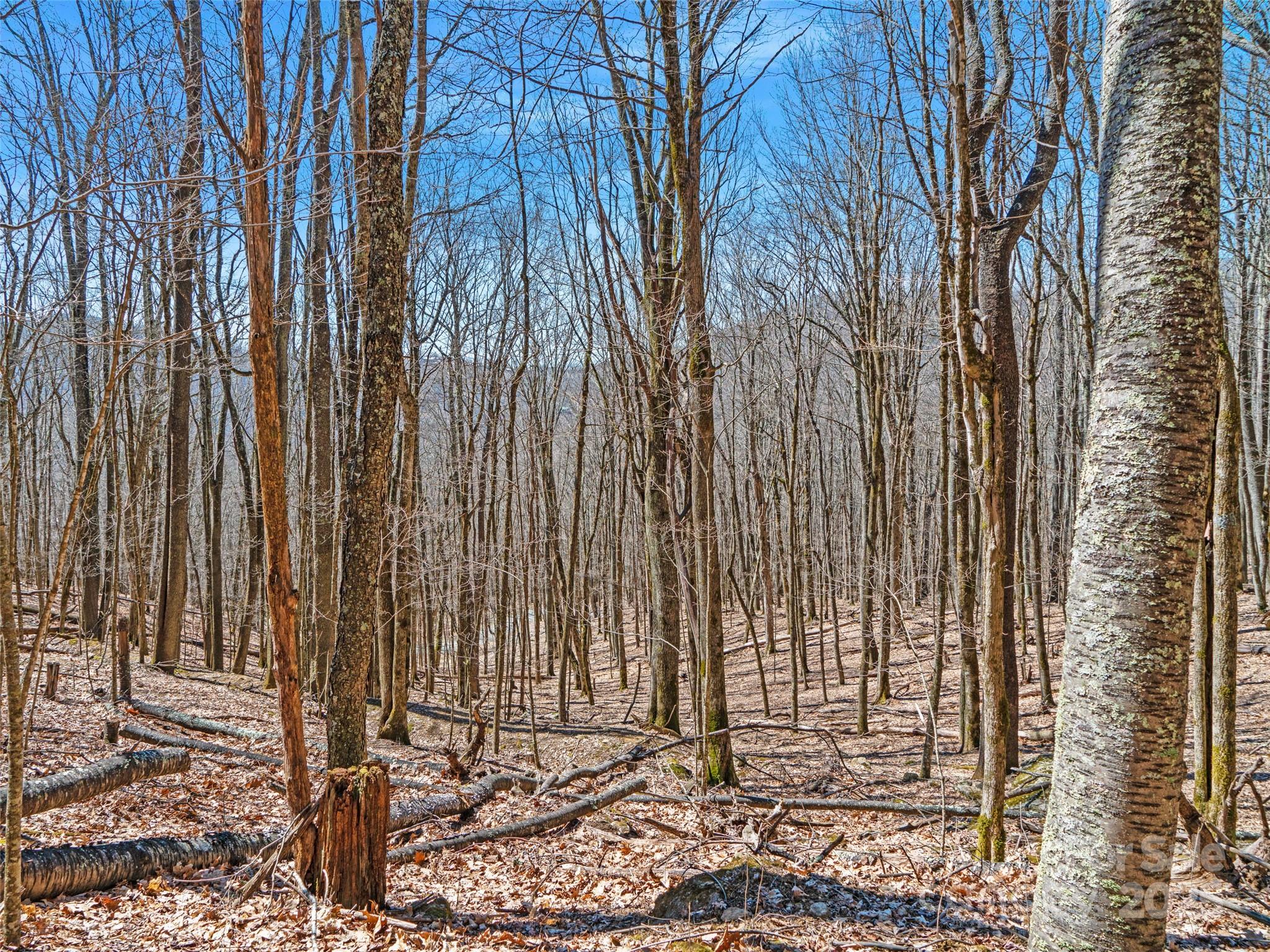 00 Tearshirt Lane Mars Hill NC 28754