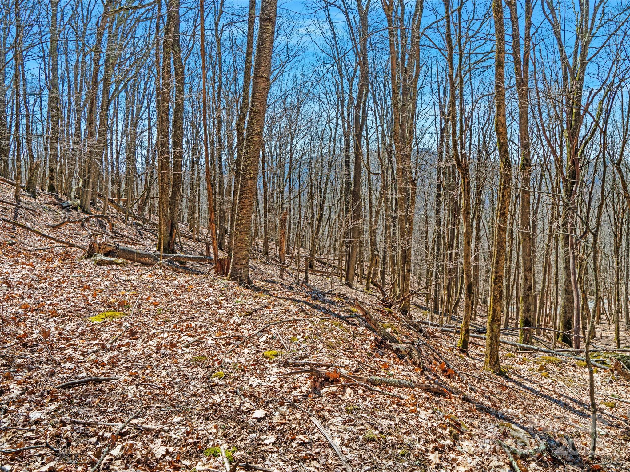 00 Tearshirt Lane Mars Hill NC 28754