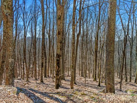 00 Tearshirt Lane Mars Hill NC 28754
