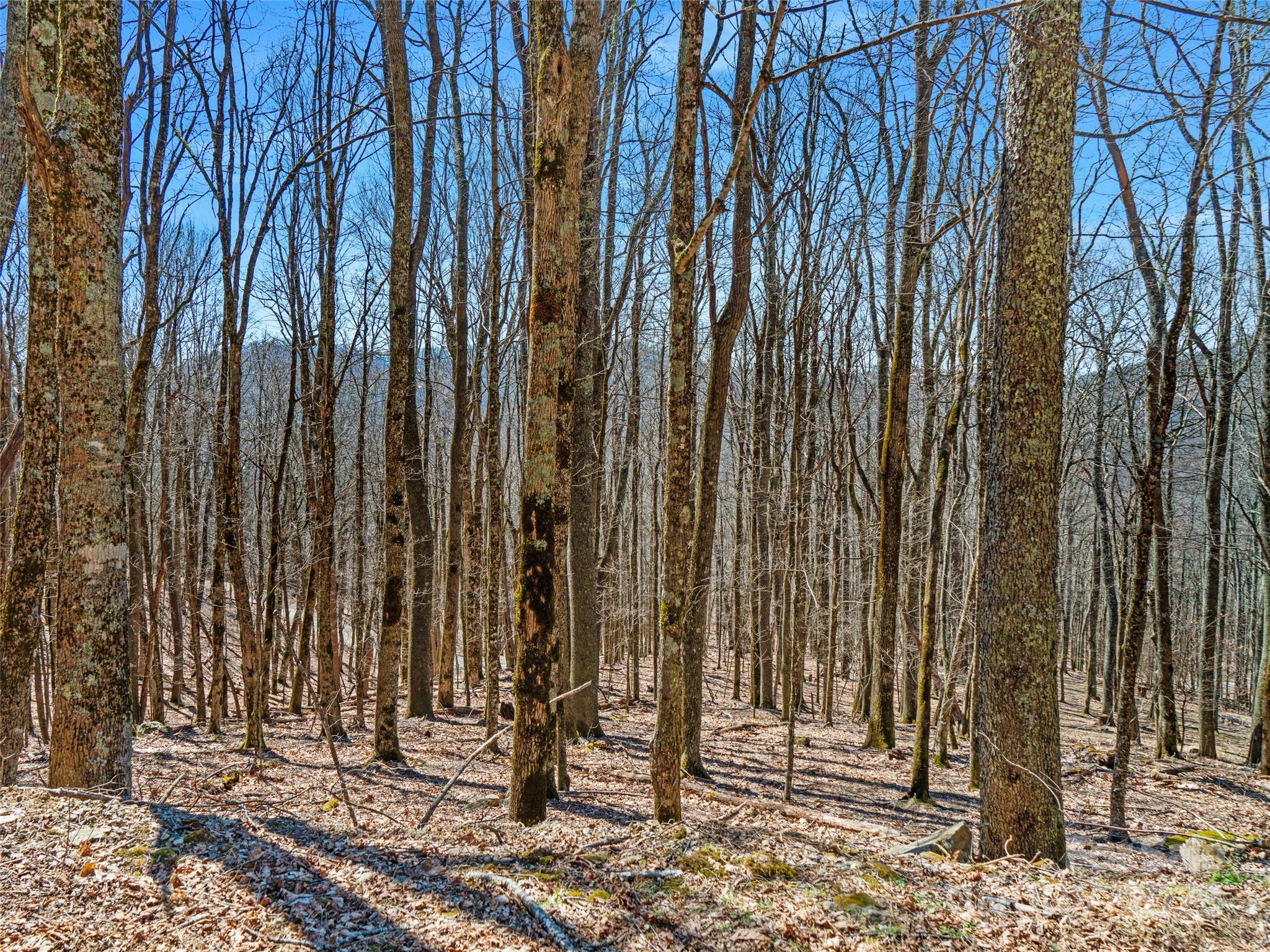00 Tearshirt Lane Mars Hill NC 28754